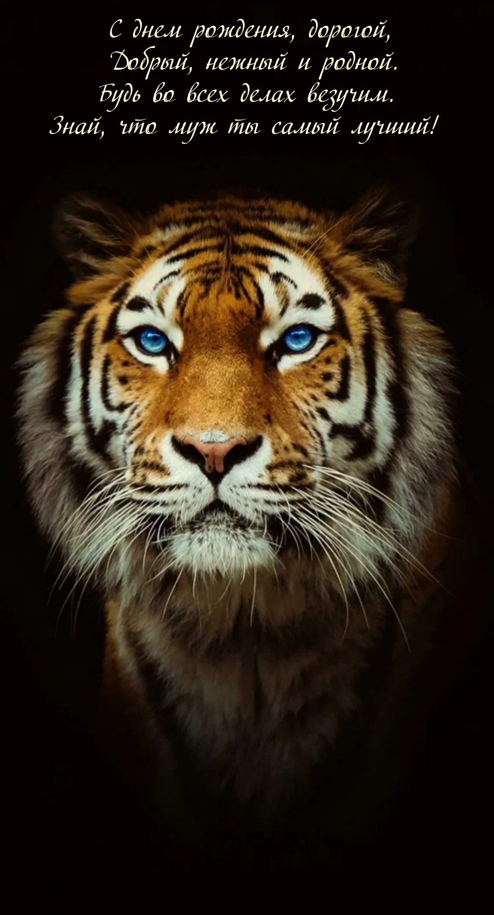 С днем рождения, дорогой, добрый, нежный и родной.