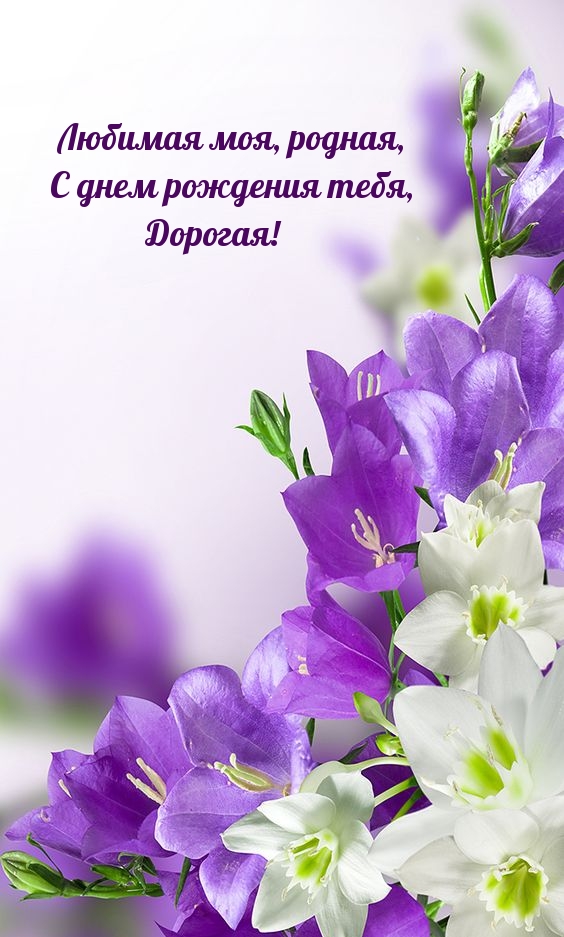 Любимая моя, родная, с днем рождения тебя, дорогая!