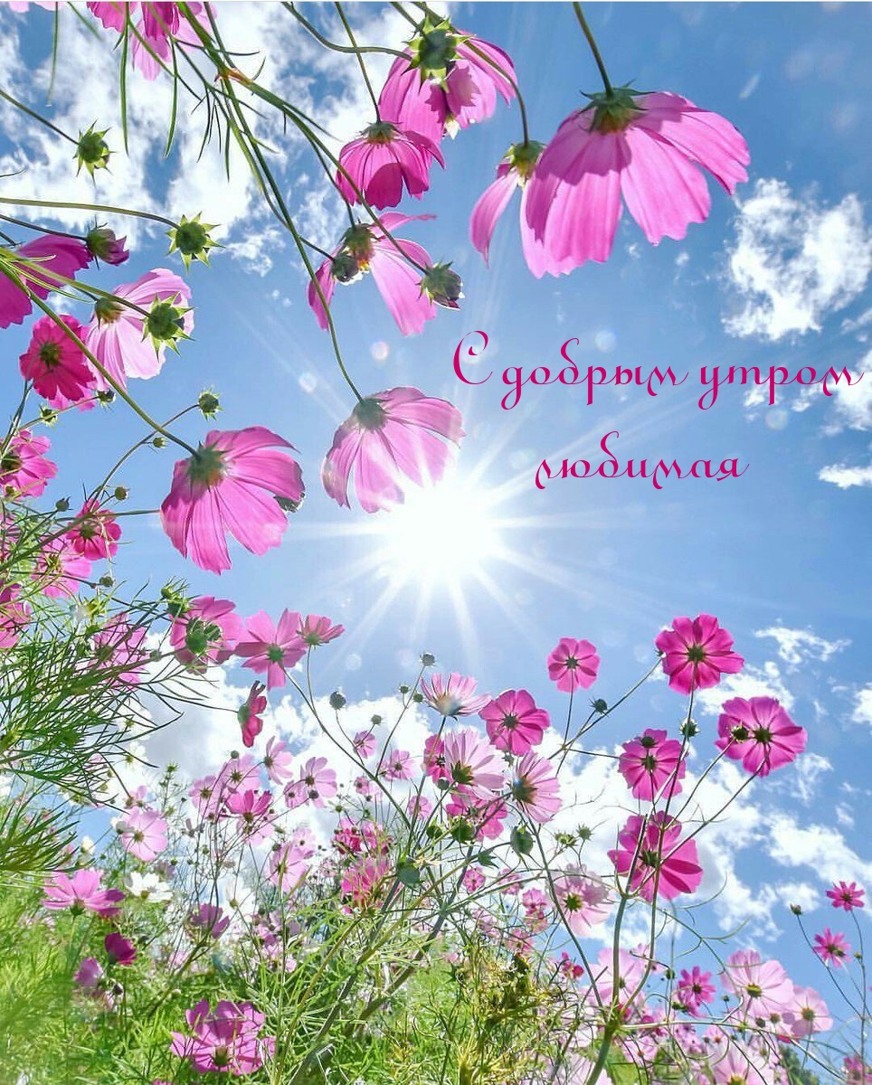 С добрым утром любимая