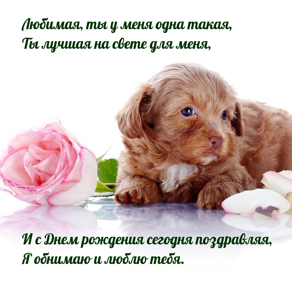 С Днем рождения сегодня поздравляя, я обнимаю и люблю тебя.