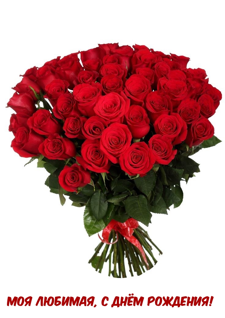 Моя любимая, с днём рождения!