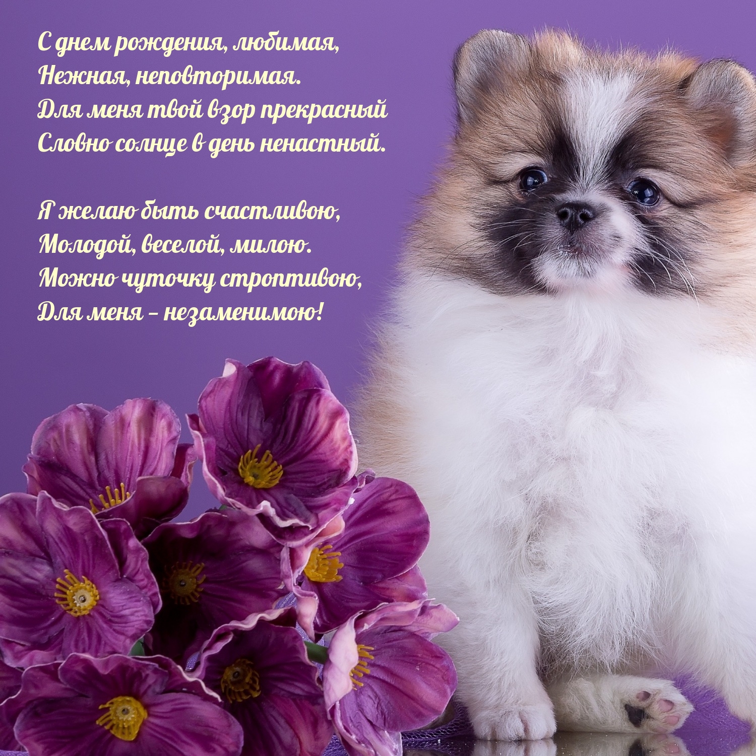 С днем рождения, любимая, нежная, неповторимая.