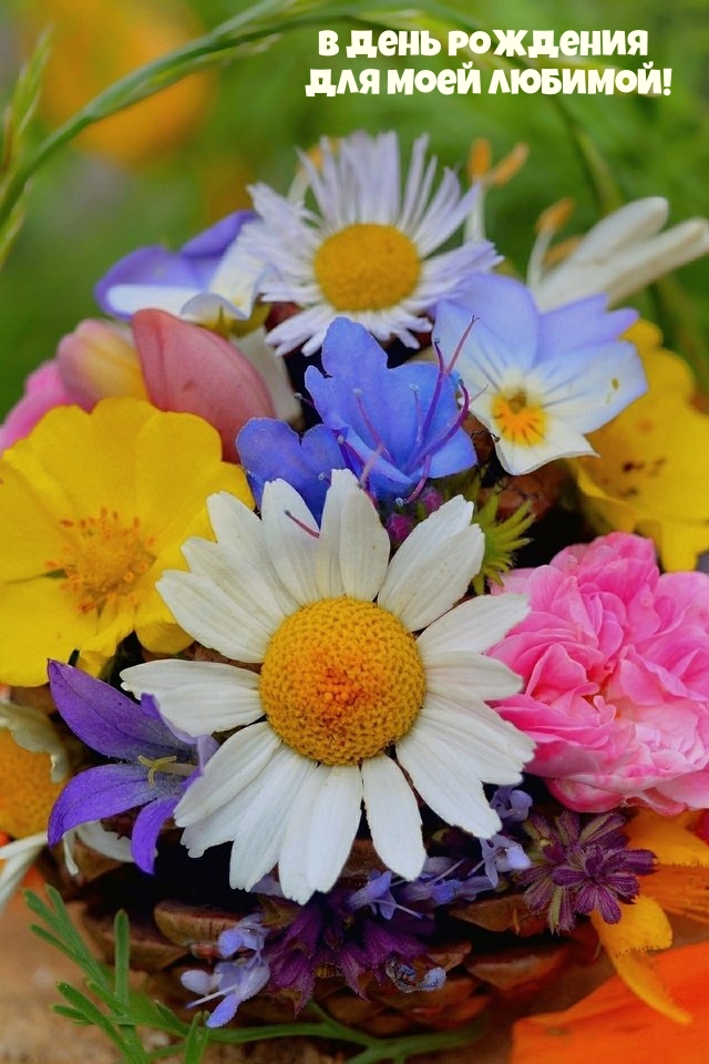 В день рождения для моей любимой!