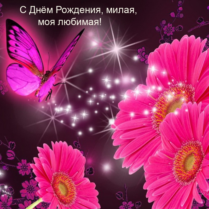 С Днём Рождения, милая, моя любимая!