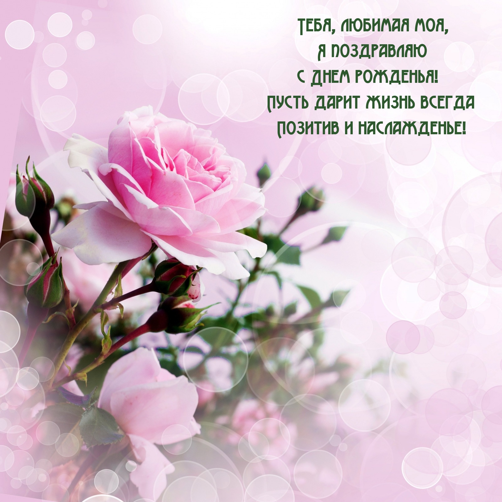 Тебя, любимая моя, я поздравляю с Днем рожденья!