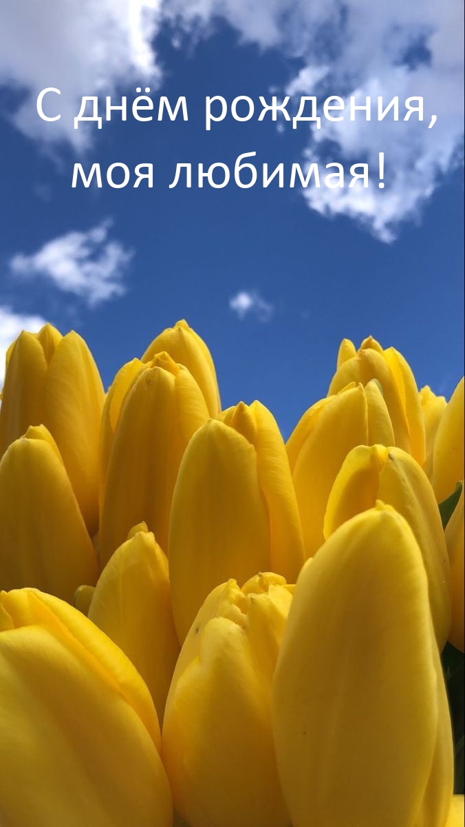 С днём рождения, моя любимая!