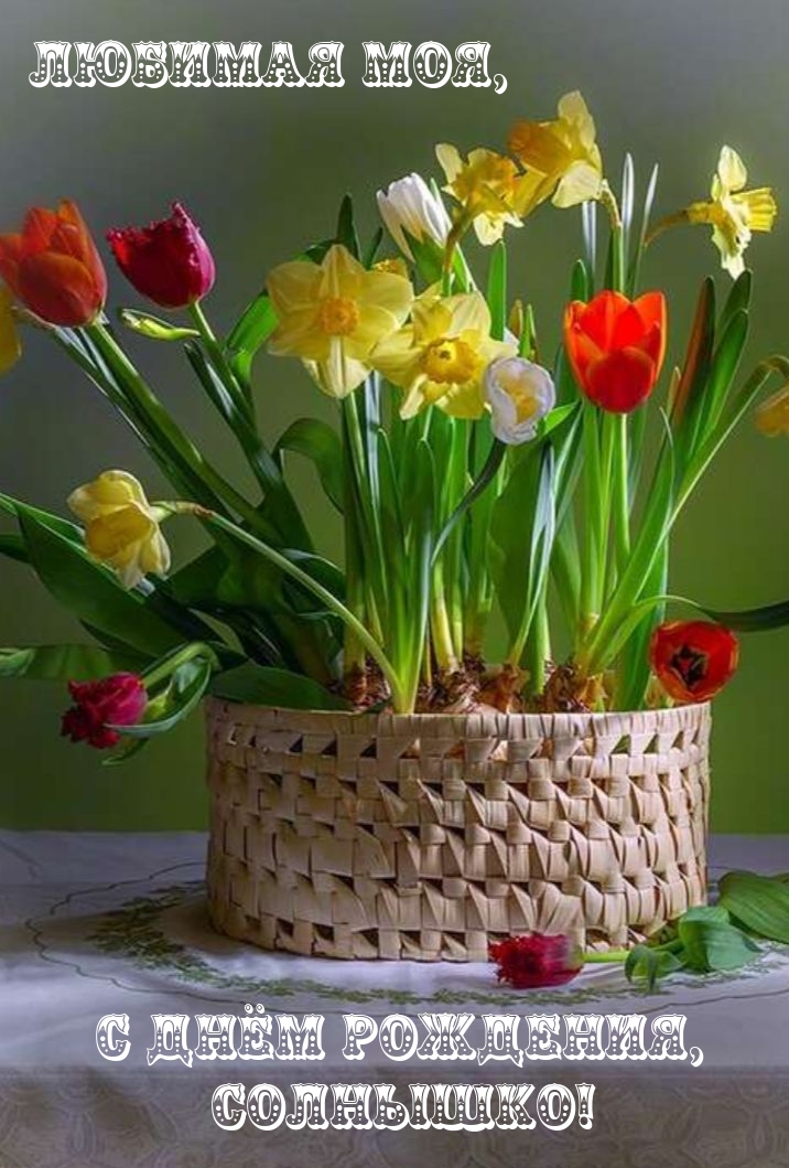 Любимая моя, С Днём Рождения, солнышко!