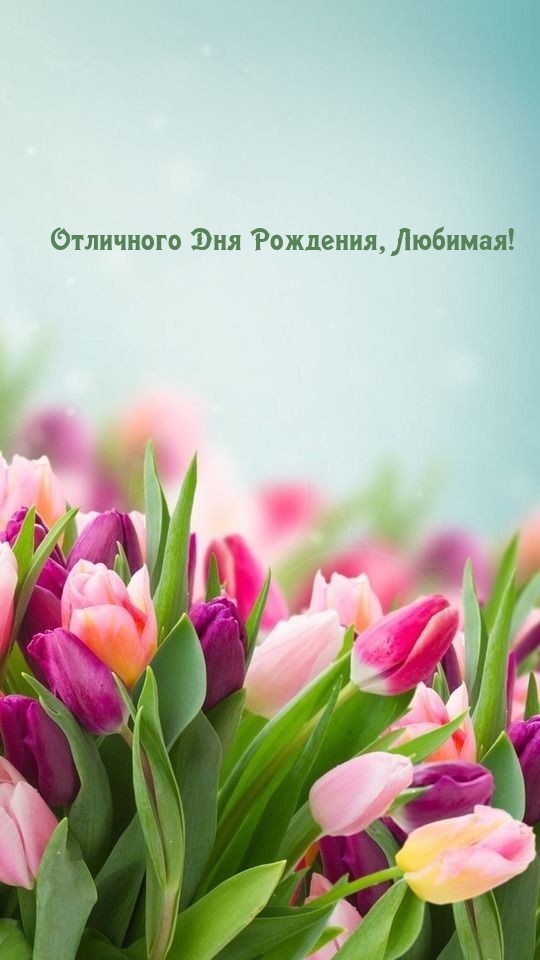 Отличного Дня Рождения, Любимая!