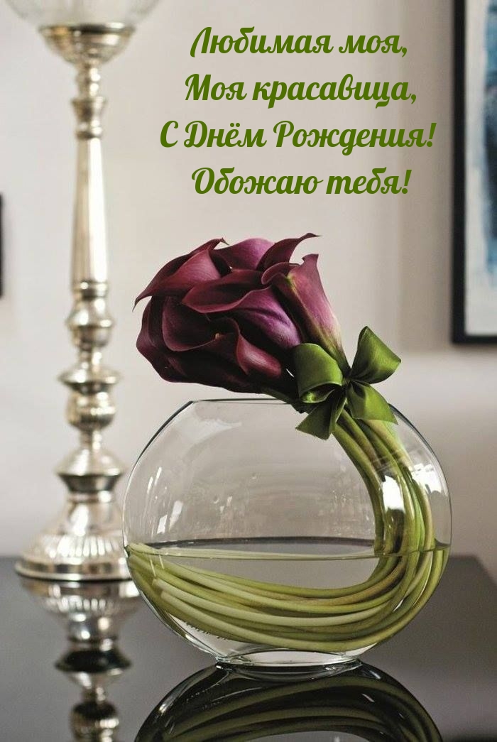 Любимая моя, моя красавица, с Днём Рождения! Обожаю тебя!