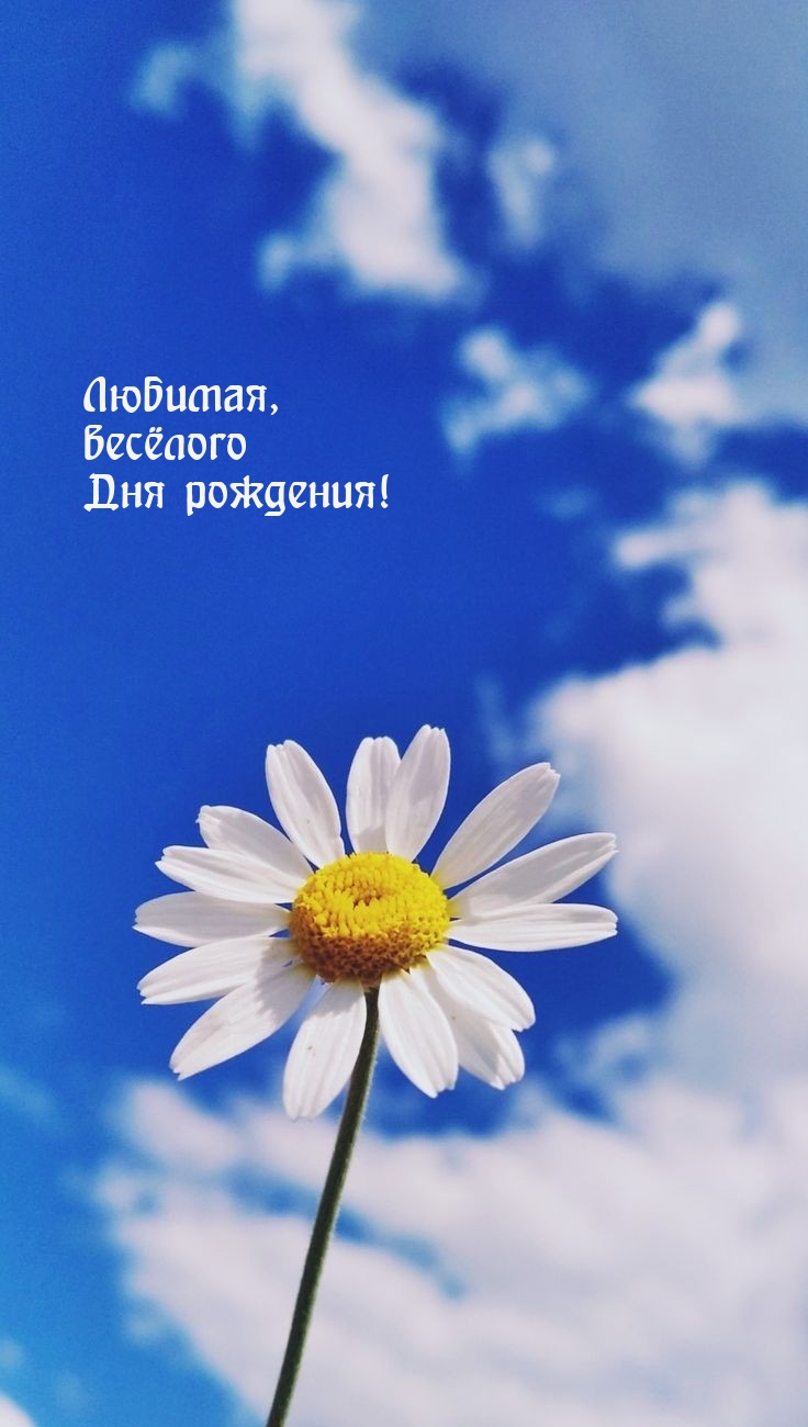 Любимая, весёлого Дня рождения!