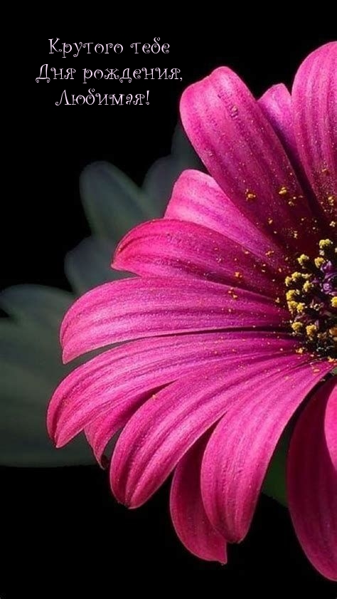 Крутого тебе Дня рождения, Любимая! 