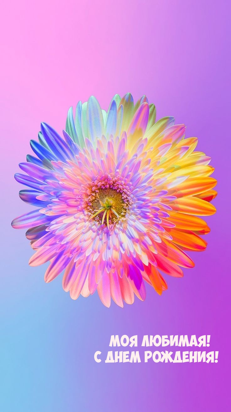 Моя Любимая! С Днем рождения!