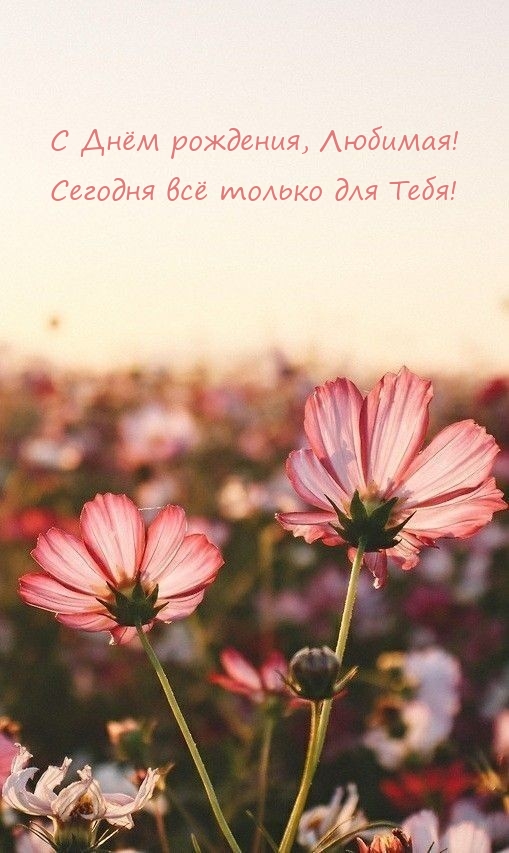 С Днём рождения, Любимая! Сегодня всё только для Тебя! 