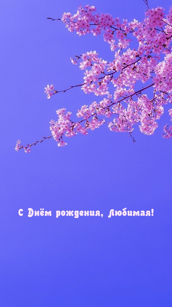 С Днём рождения, Любимая!