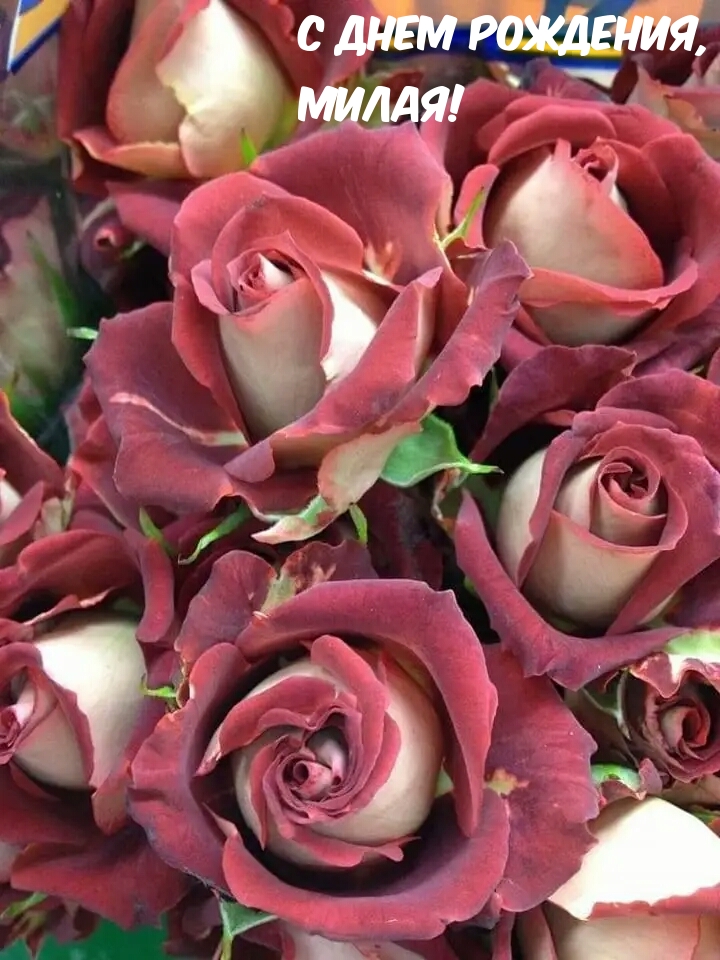 С днем рождения, милая!