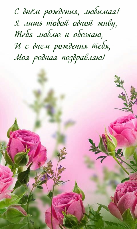 С днём рождения, любимая! Я лишь тобой одной живу