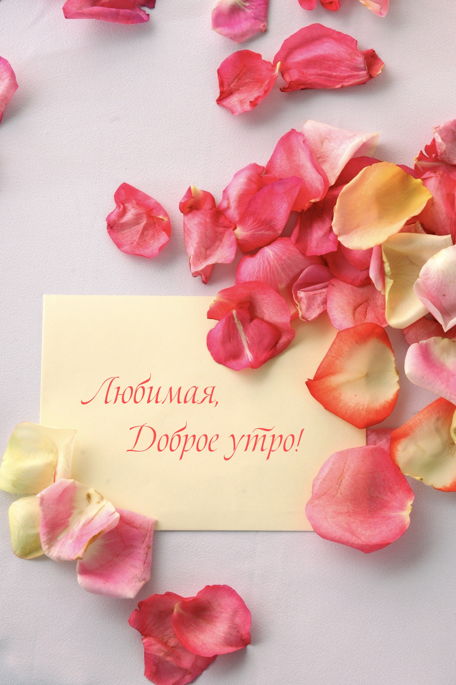 Любимая, Доброе утро!