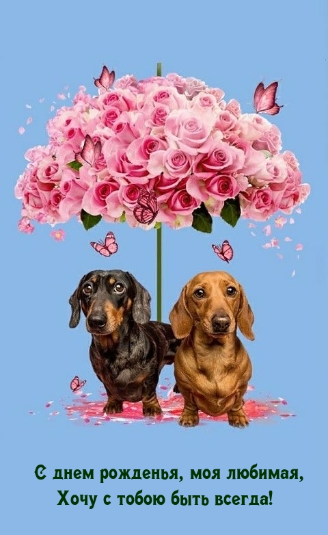 С днем рожденья, моя любимая, хочу с тобою быть всегда!