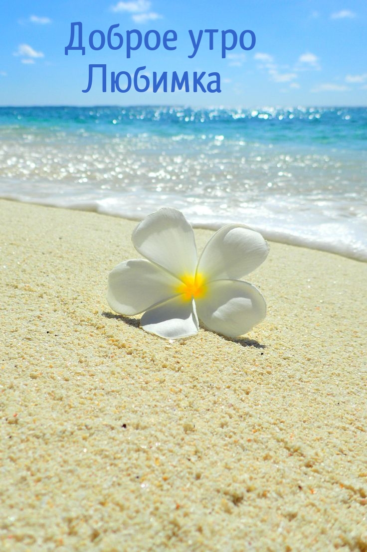 Доброе утро Любимка