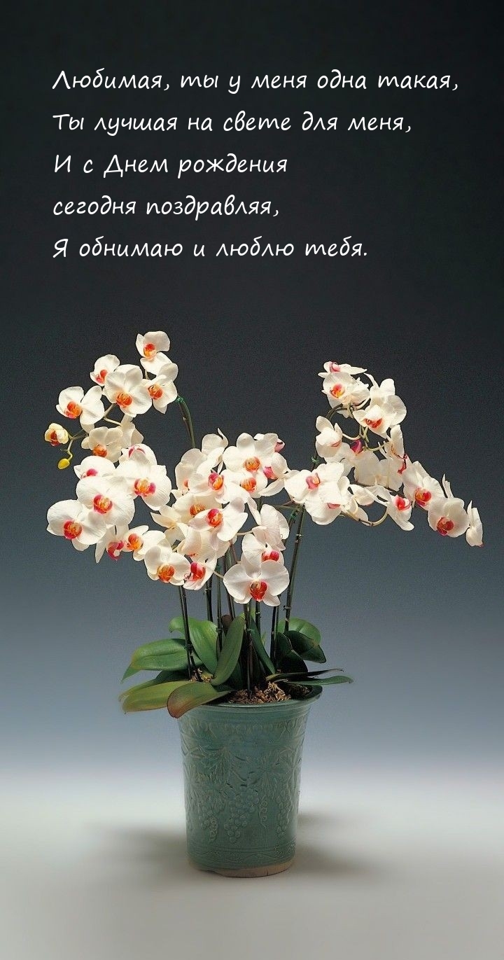 С Днем рождения сегодня поздравляя, я обнимаю и люблю тебя.