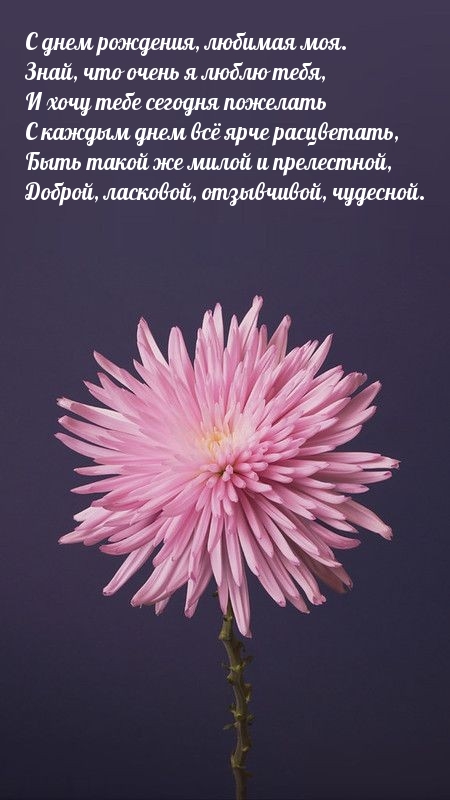 С днем рождения, любимая моя. Знай, что очень я люблю тебя