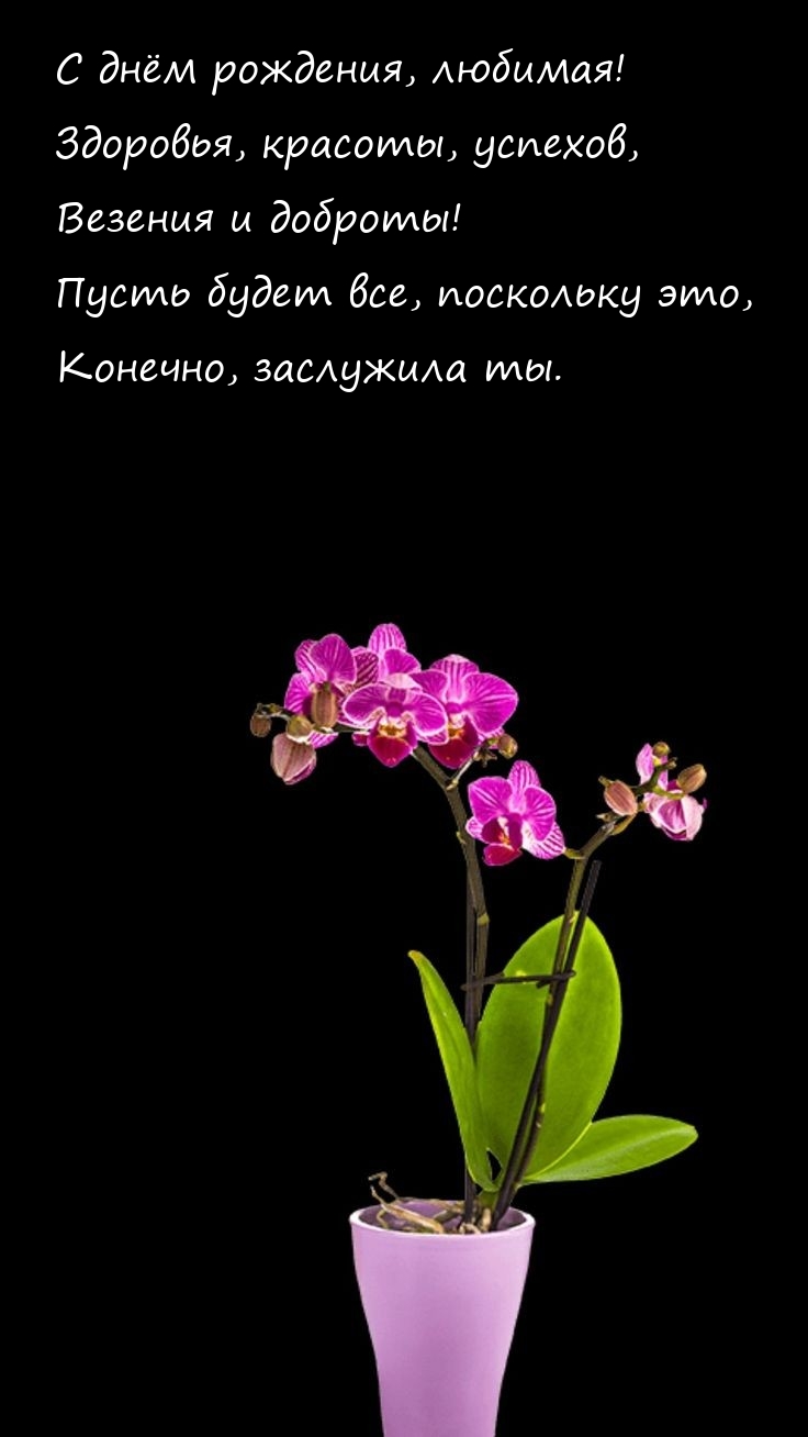 С днём рождения, любимая! Здоровья, красоты, успехов