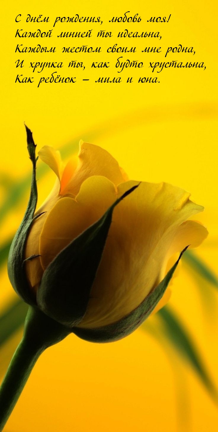 С днём рождения, любовь моя! Каждой линией ты идеальна