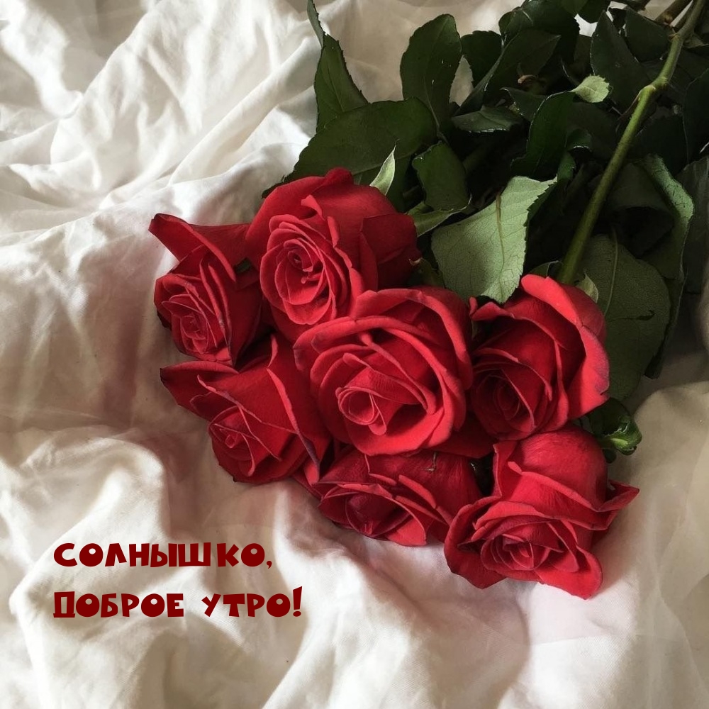 Солнышко, доброе утро!