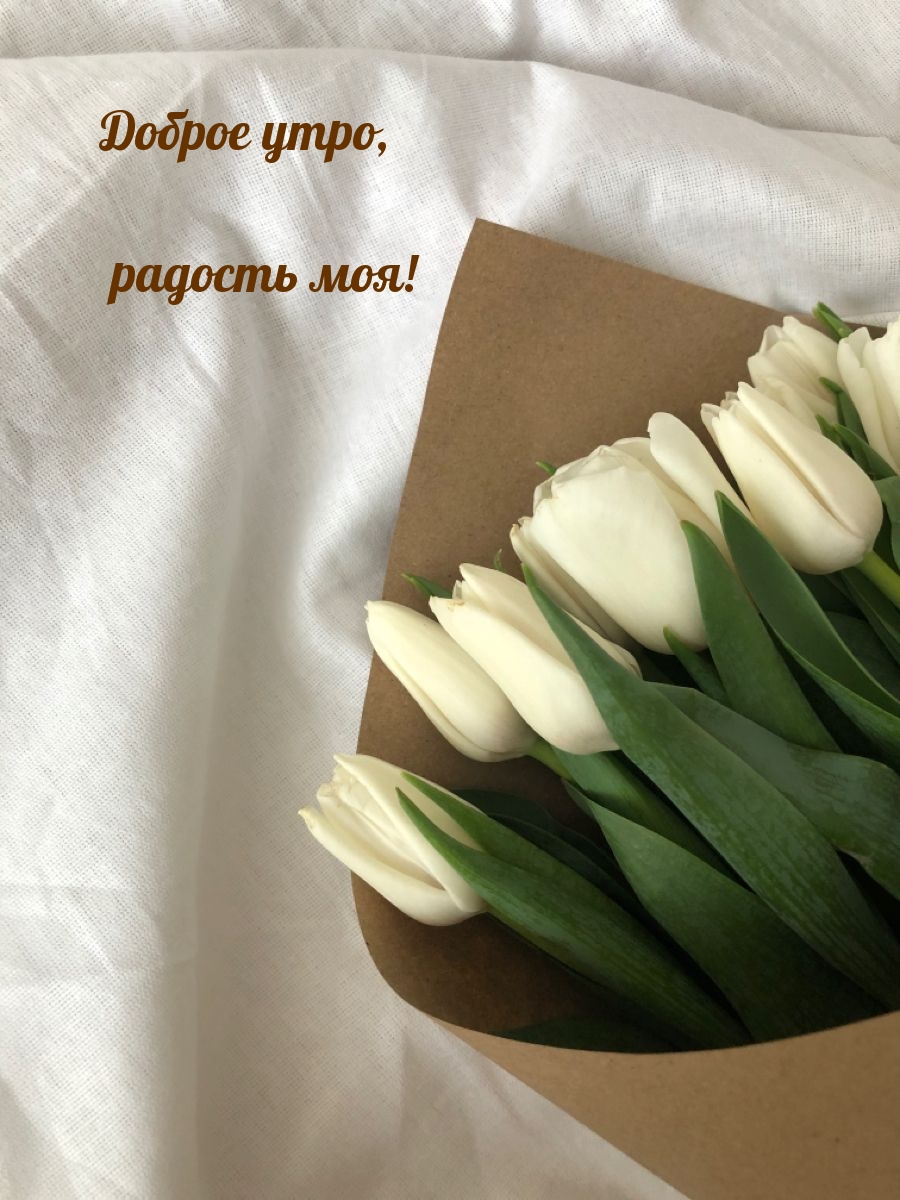 Доброе утро, радость моя!