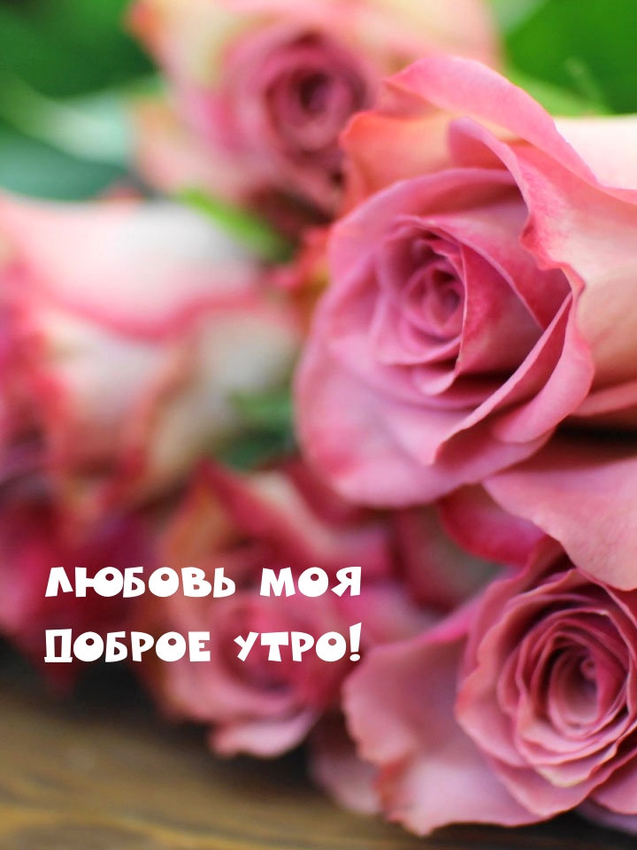 Любовь моя доброе утро!