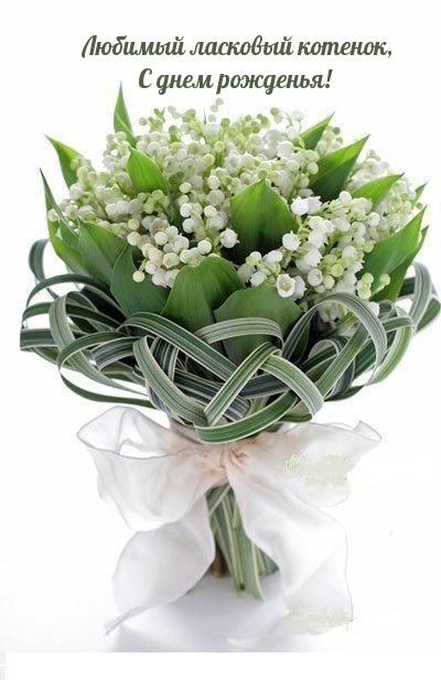 Любимый ласковый котенок, c днем рожденья!