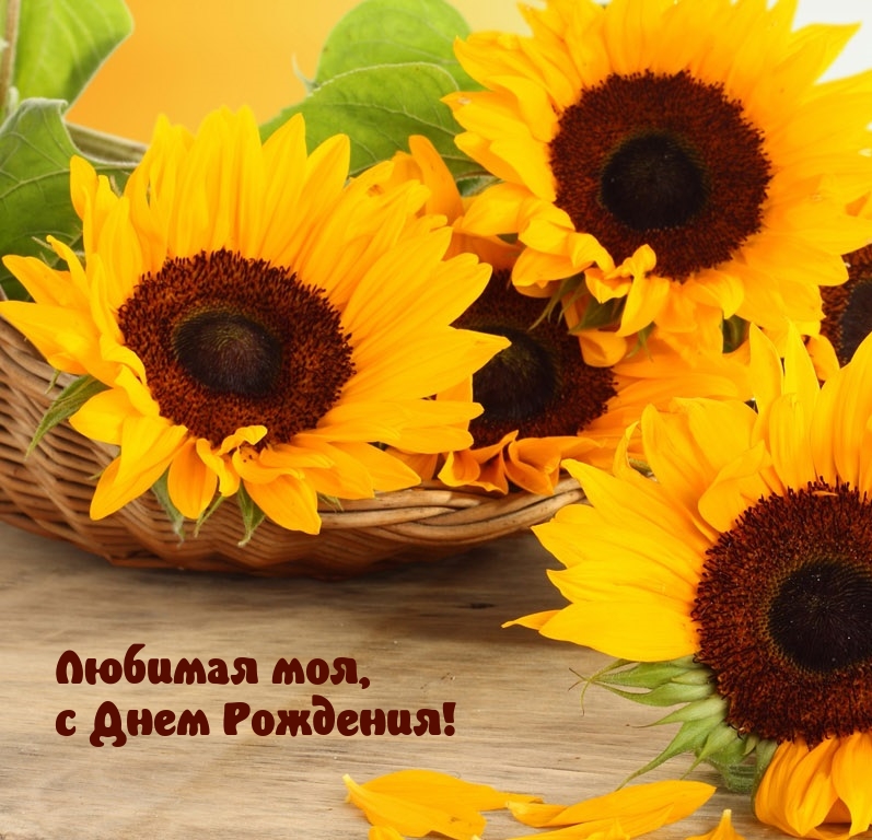 Любимая моя, с Днем Рождения!