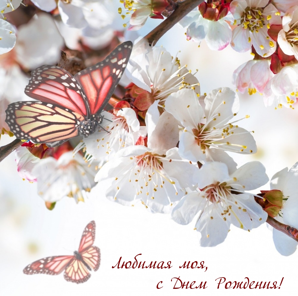 Любимая моя, с Днем Рождения!