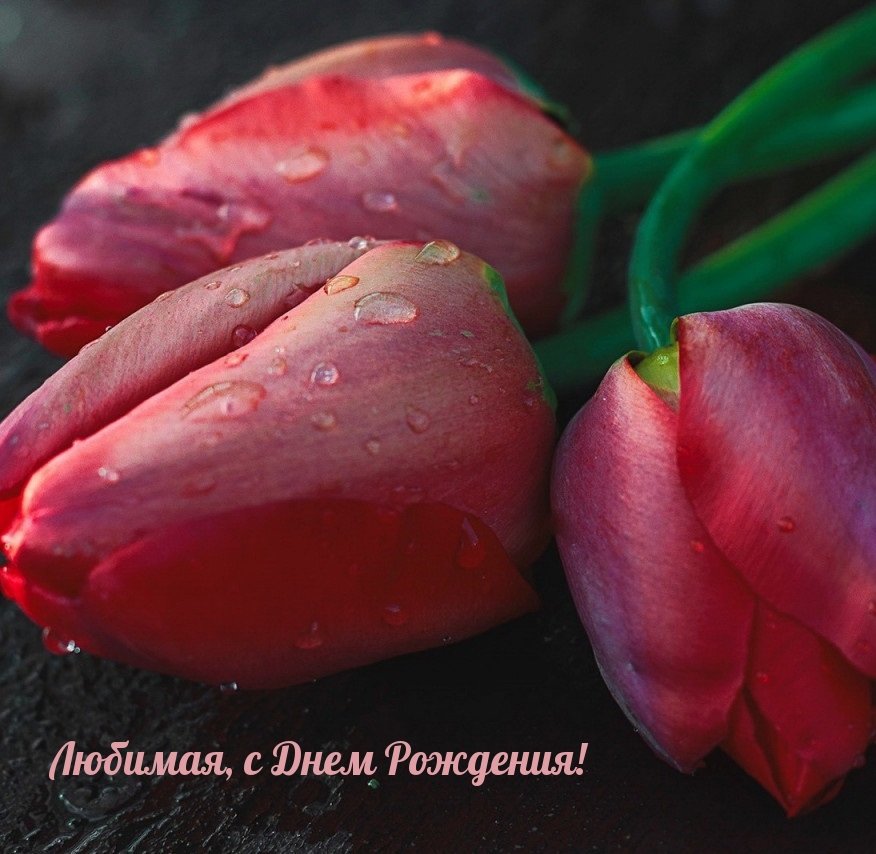 Любимая, с Днем Рождения!