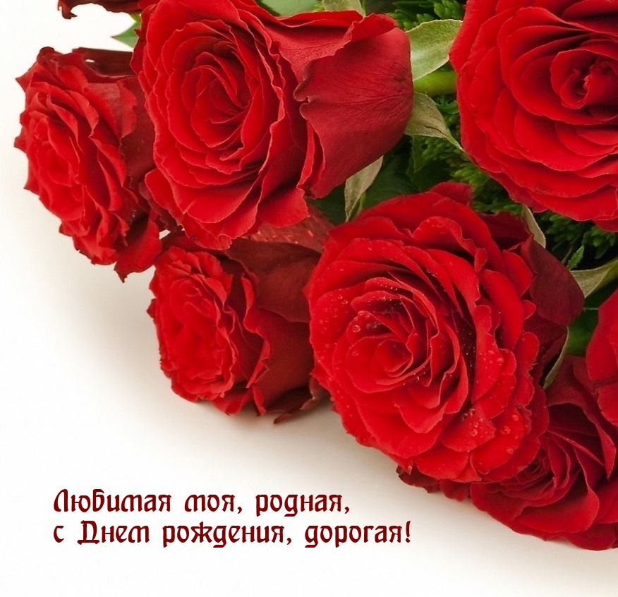 Любимая моя, родная, с Днем рождения, дорогая!