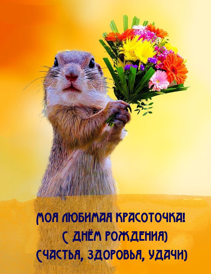 Моя любимая красоточка! С днём рождения) Счастья, здоровья, удачи)