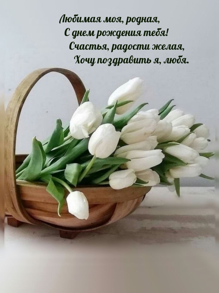 Любимая моя, родная, с днем рождения тебя!