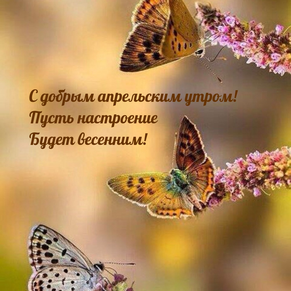 С добрым апрельским утром! Пусть настроение будет весенним!