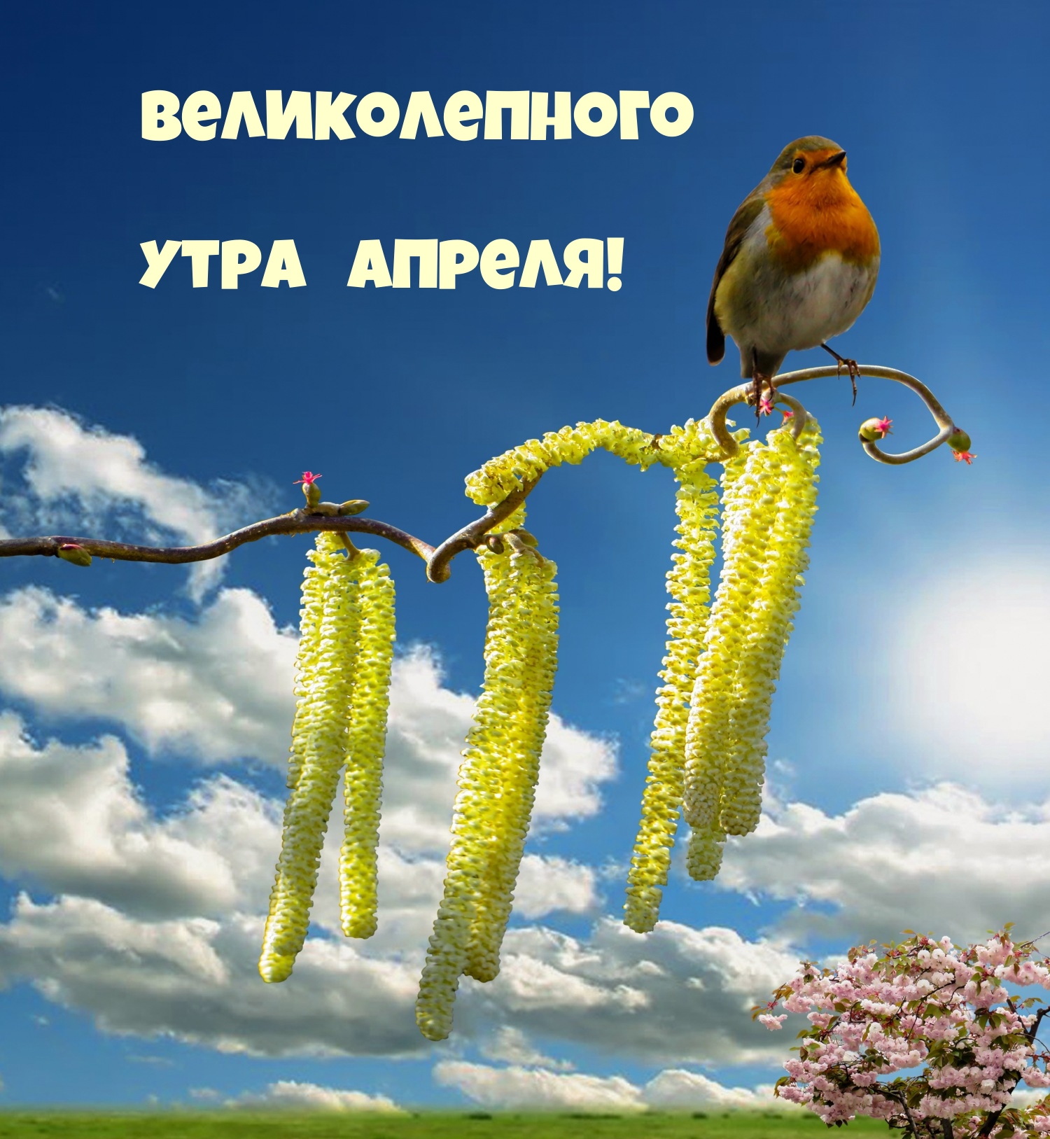 Великолепного утра апреля!