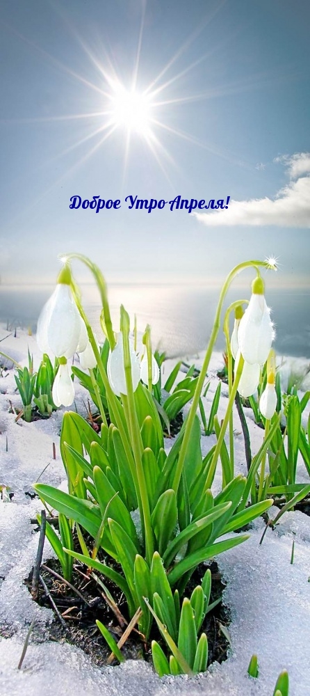 Доброе Утро Апреля!