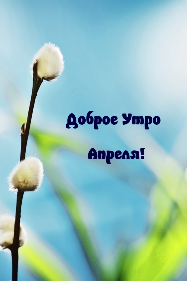 Доброе Утро Апреля!