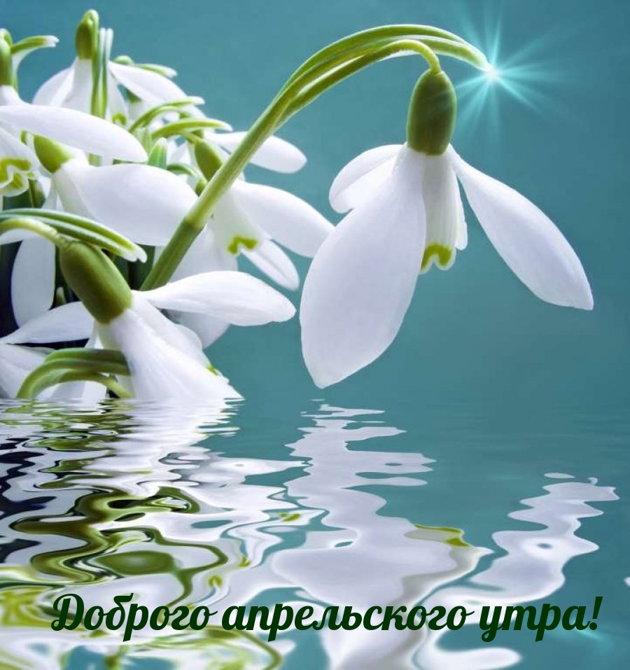 Доброго апрельского утра!