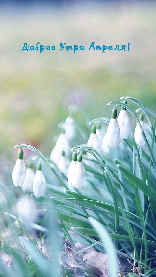 Доброе Утро Апреля!