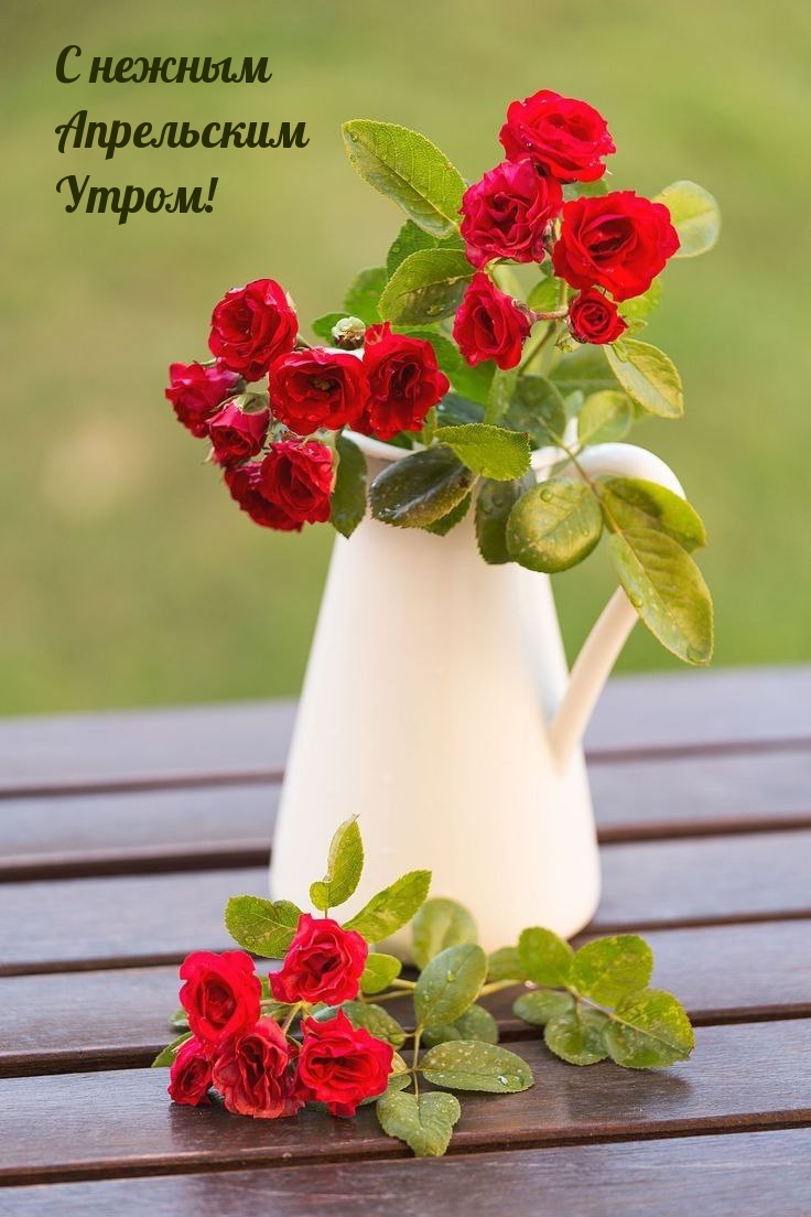 С нежным Апрельским Утром!