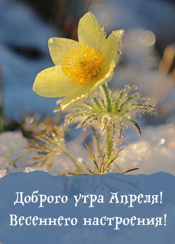 Доброго утра Апреля! Весеннего настроения!