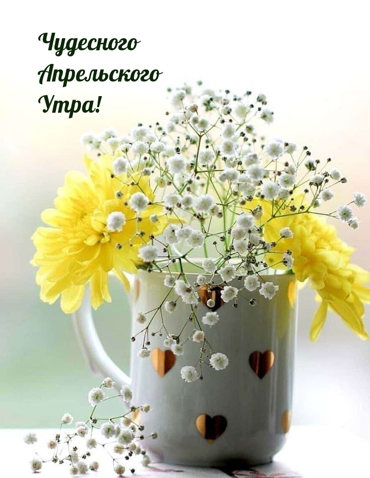 Чудесного Апрельского Утра!