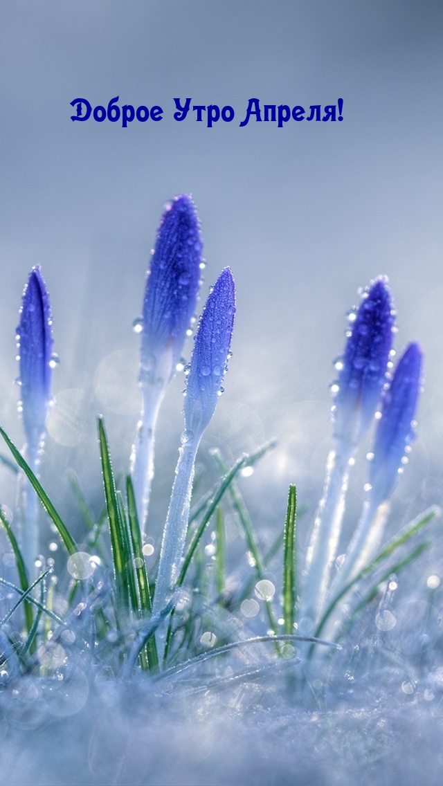 Доброе Утро Апреля!