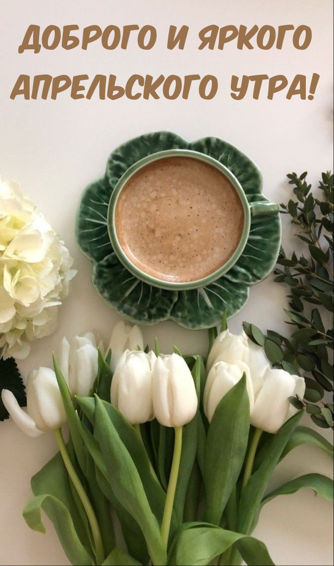 Доброго и яркого апрельского утра! 