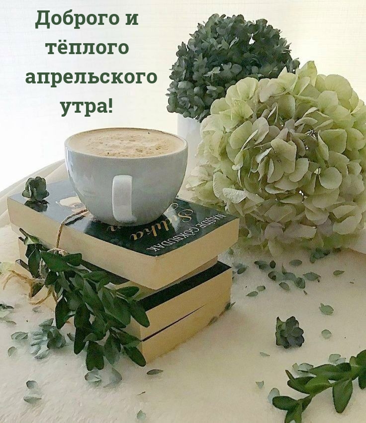 Доброго и тёплого апрельского утра! 