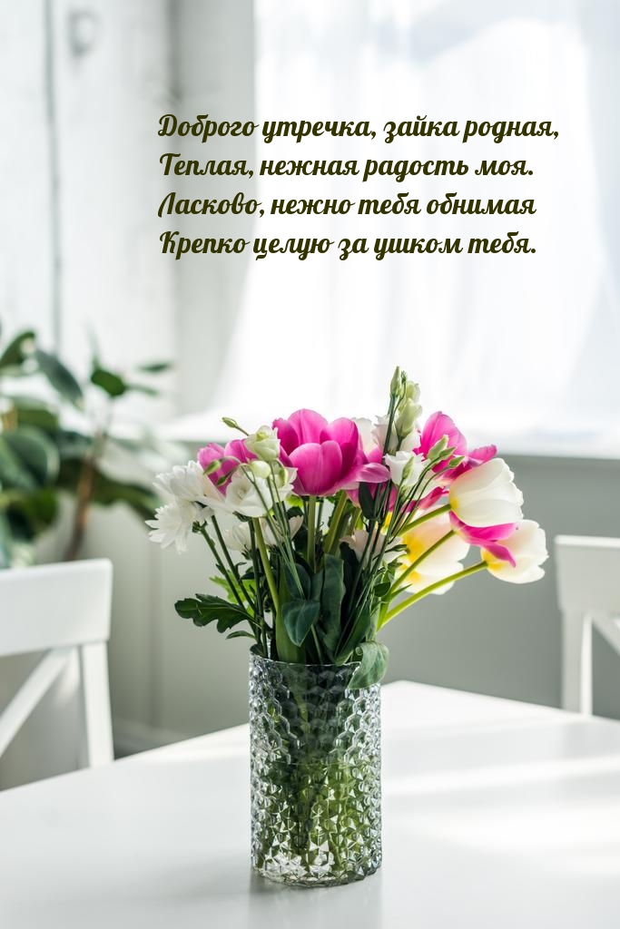 Доброго утречка, зайка родная, Теплая, нежная радость моя.